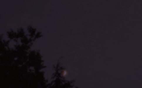 2025�ꌍ�õ�Ψ��������QQ�����Z48��