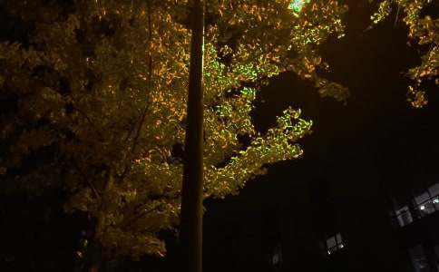 2022�ꌍ(sh��)�õ�����ϵ��������Ȧ�����Z�\��62�l