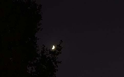 ���Ä�־�����Z�125�侫�x