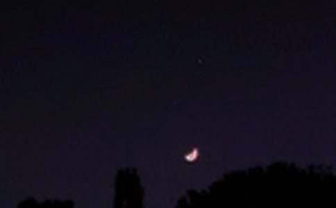 ��������������ף���Z�R��185��