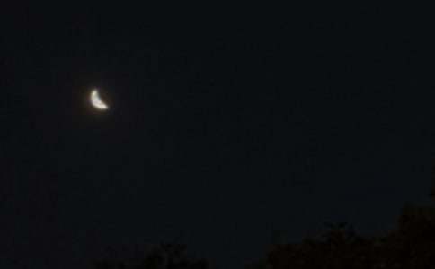 簡單的溫馨的晚安問候語語錄31句