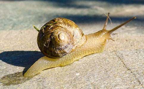 ��΁ţ��õ��䡷�x���