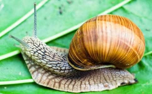 ΁ţ��(d��ng)������(���\14ƪ)