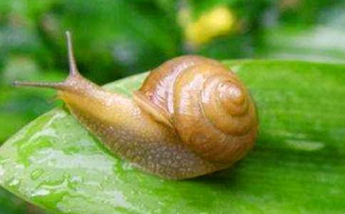 С���Z�Խ̰���׃ɫ΁����