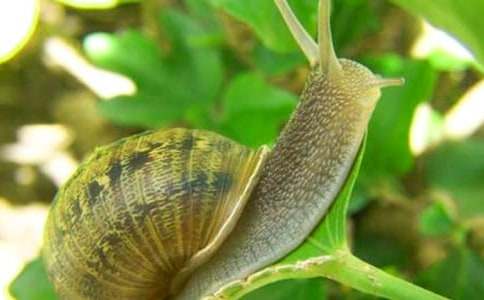 һ�꼉��С΁�����̰�