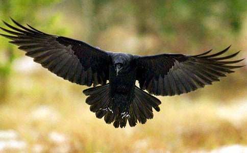 ��С���f�ۋ������̰�