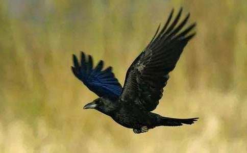 �͞��f�������x���15ƪ