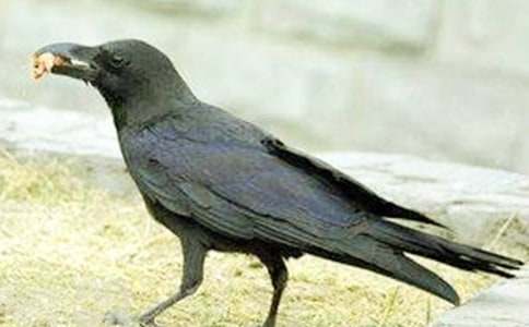 ���f��ˮ�̰�(�ϼ�15ƪ)