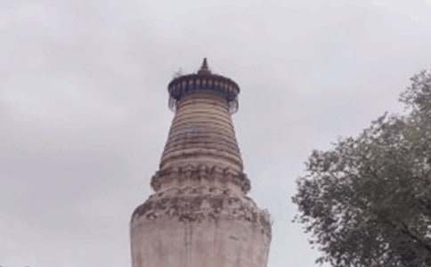 ���_(t��i)ɽ��(d��o)���~�����x12ƪ��