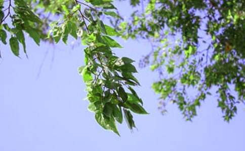 經(jīng)典暖心午安祝福語(通用40句)