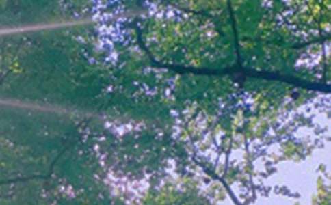 ��(j��ng)�������簲���ԅR��100�侫�x