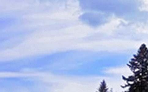 �P(gu��n)���簲�����Z�R��60��