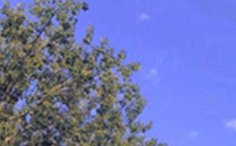 2026���ů���簲��(w��n)���Z(y��)���ŅR��62��