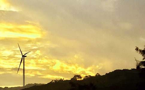 經(jīng)典暖心午安祝福語40句