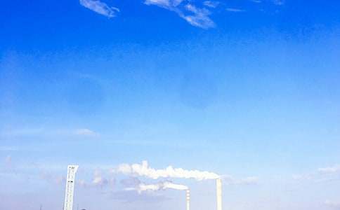 2026��Ψ�����簲΢�ņ�(w��n)���Z(y��)�ϼ�39��