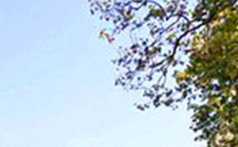 治愈午安祝福語60句精選