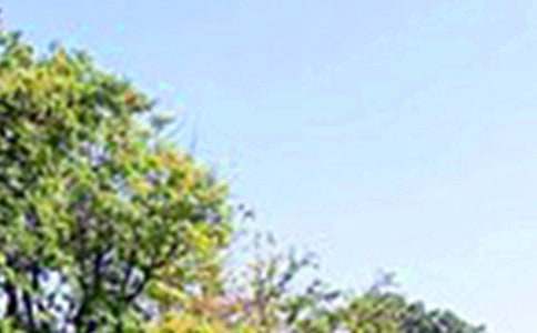 2026���簲QQ�����Z�\��32��