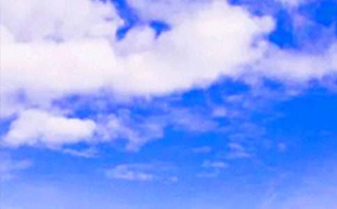 午安問(wèn)候語(yǔ)短信匯總66句