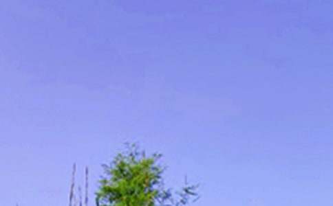 �P��ů���簲ף���Z��ȫ��ͨ��90�䣩