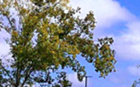 2026�����õ��簲QQ�����Z��R��71�l