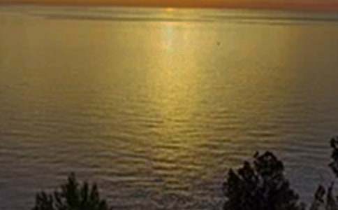 ��(j��ng)��Ψ���簲���Դ�ȫ�����x100�䣩