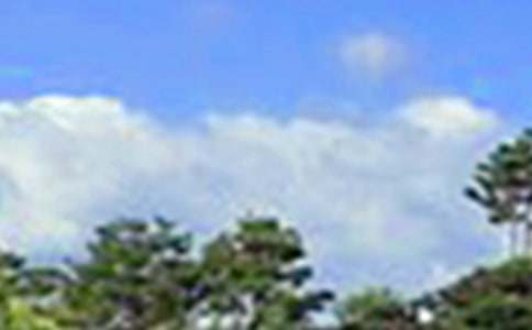 ů���簲ף���Z40��