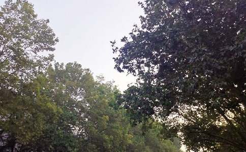 2026��Ψ�����簲΢�ņ����Z76��