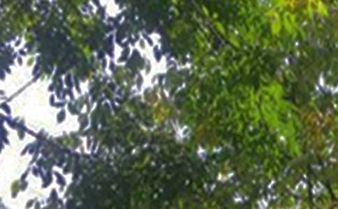 ��(j��ng)��ů���簲ף���Z��ȫ��ͨ��80�䣩