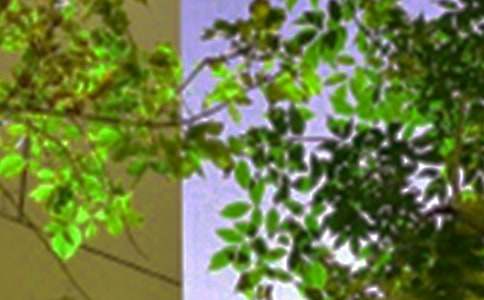 ��(j��ng)���簲ף���Z30�侫�x