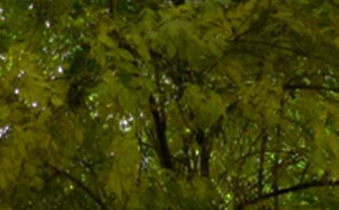 勵(lì)志午安祝福語(精選60句)