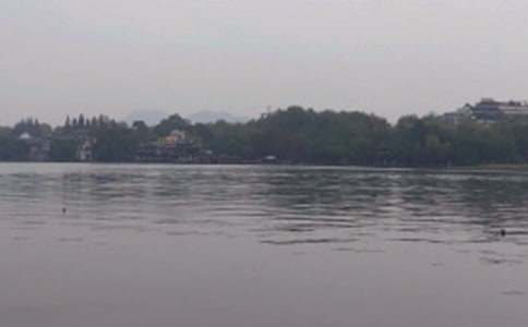 ����������(d��o)���~