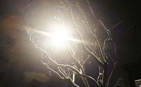 小學(xué)下雪了作文600字三篇