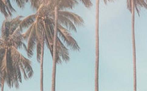 �ļ���(ji��)�s��늳��h��(13ƪ)