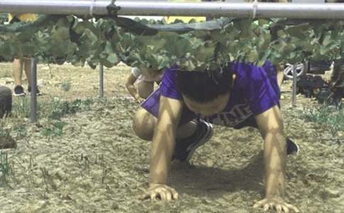 ����I(y��ng)���(d��ng)�߄���