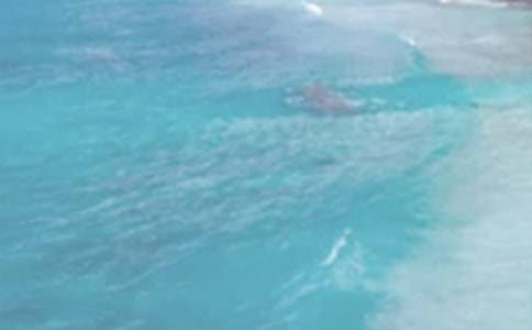 讀《夏日歷險(xiǎn)》有感(9篇)