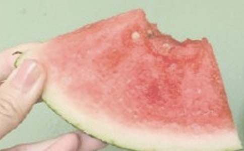 �����S�P