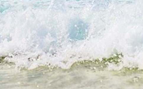 ���x������L(f��ng)��������8ƪ