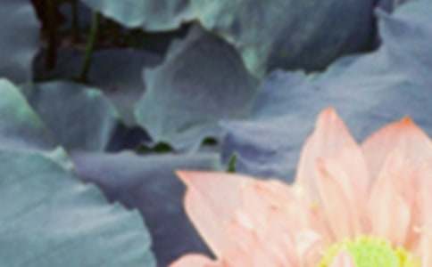 ���������Z��(j��ng)��