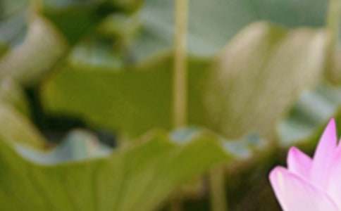 �J�R������(ji��)��̰������x6ƪ��