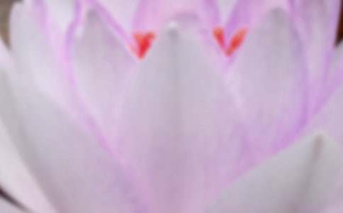 ����ף�������Z