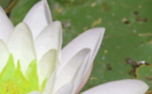 夏至活動策劃方案(通用5篇)