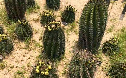 [���A]����������15ƪ