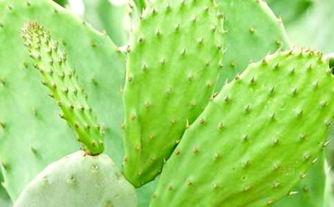 [����]����������15ƪ