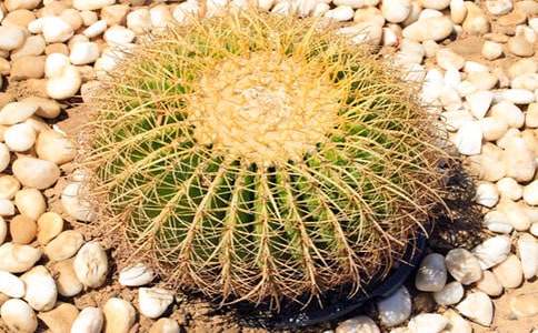 ����������15ƪ[����]