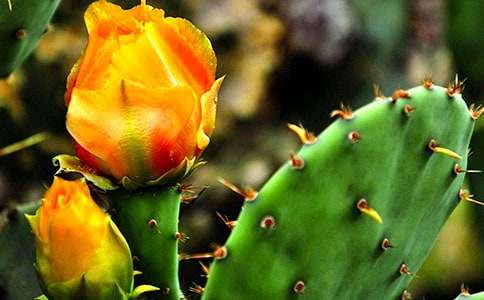 ����������(���])