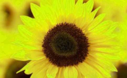 ���տ��Ļ��Z(y��)15ƪ���]��