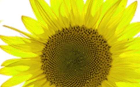 ���տ����Z��(j��ng)��Ԓ�Z���]