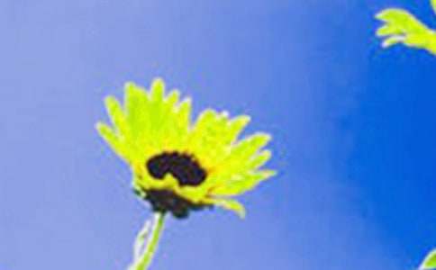 ���տ��Ļ��Z(y��)15ƪ��ͨ�ã�