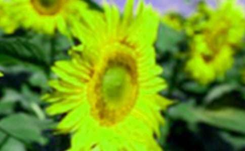 �����]�����տ��Ļ��Z(y��)