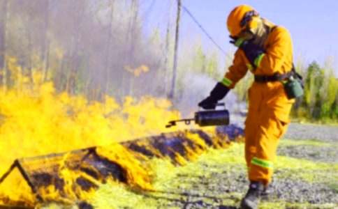 (��(y��u)�x)������ȫ��(bi��o)�Z(y��)